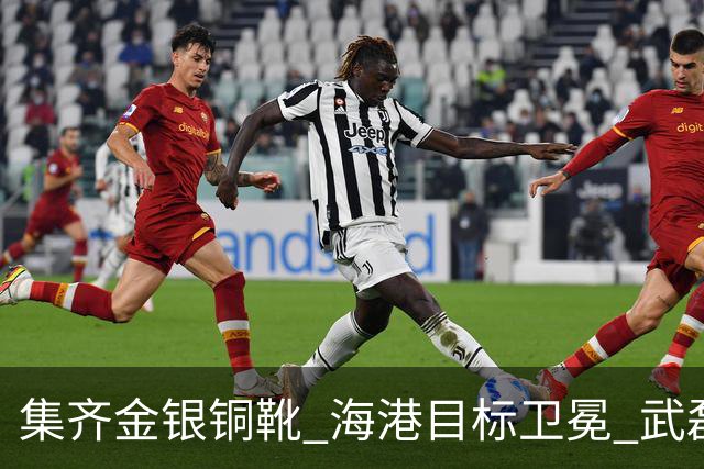 集齐金银铜靴 海港目标卫冕 武磊的伤是个麻烦